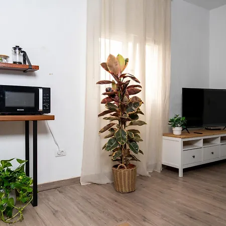 公寓 Casa Rosendo Madre La Guancha